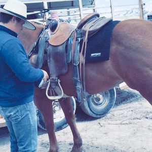 Meet your Posher, Jake